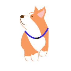 Bark app corgi