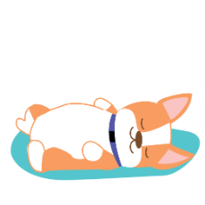 Bark app corgi